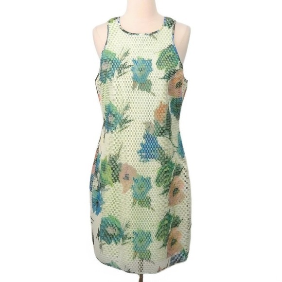 NWOT Badgley Mischka Floral Green White Cage Mesh Sleeveless Sheath Dress- Sz 12